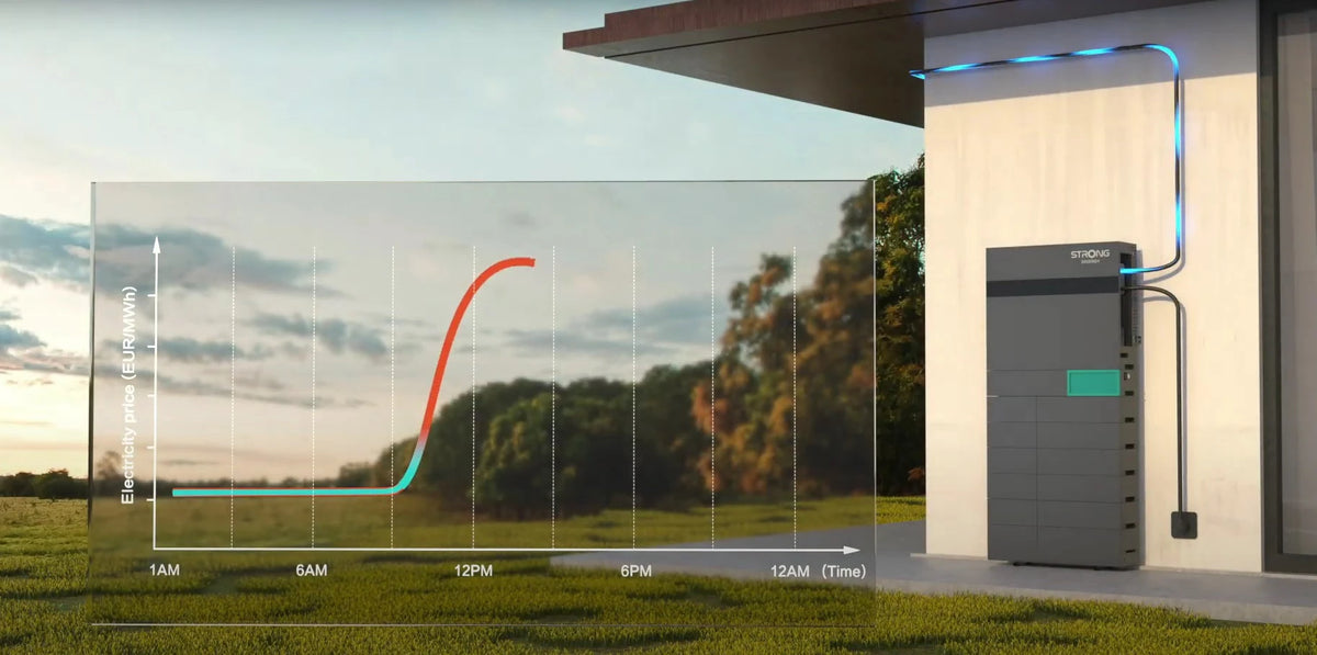 Plaintext
iSolarPro Strong Energy Energiespeicher installiert im Außenbereich mit überlagertem Strompreis-Diagramm für Photovoltaik-Systeme